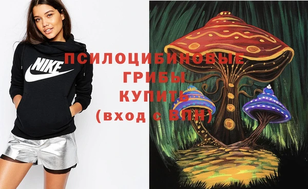 PSILOCYBIN Алексин