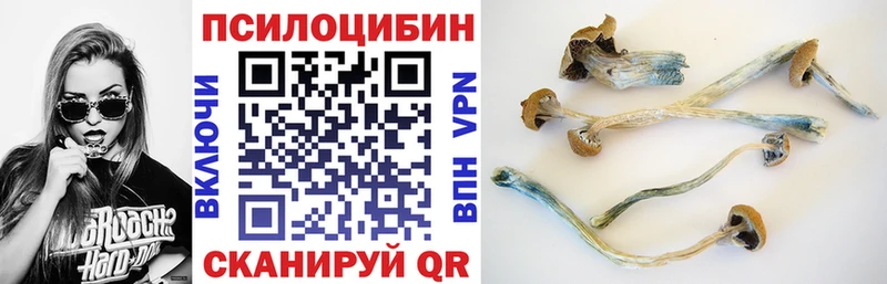 Галлюциногенные грибы мицелий  Рыбное 